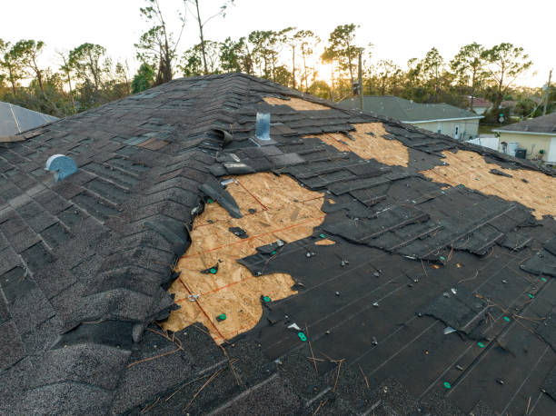 Best Sheet Metal Roofing  in Balfour, NC